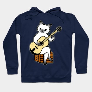 Cat Playing Guitar | Funny Cat Hoodie